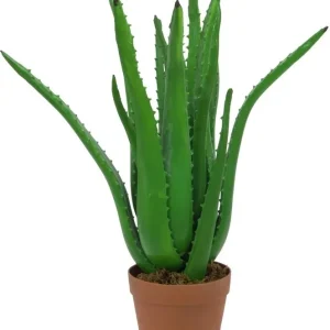 Europalms Aloe-Vera-Pflanze, Kunstpflanze, 63cm Neue Kollektion