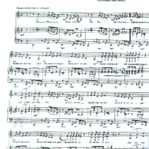Sag mir was du denkst und Va bene: für Gesang und Klavier Gratis Versand