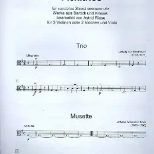 Flexitrios für 3 Violinen (1. Lage) 3. Stimme im Bratschenschlüssel Wochenendangebot