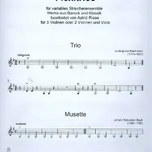 Flexitrios für 3 Violinen (1. Lage) Ergänzungsstimme Violine easy Preiswert