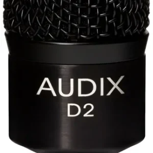 Geprüft Audix D2