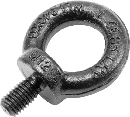 SAFETEX Ringschraube M12/20mm, schwarz galvanisiert DIN 580 Abverkauf