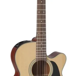 Takamine P1NC mit Koffer Garantierte Lieferung