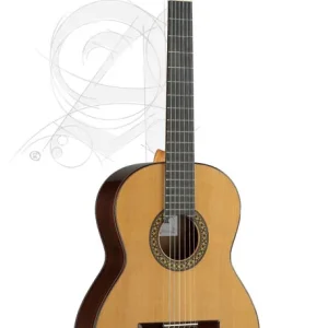Alhambra 4P inkl. Gig Bag Nur Für Kurze Zeit