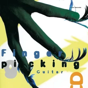 Fingerpicking Guitar Direkt Vom Hersteller