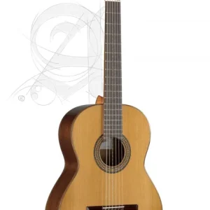 Wochenendangebot Alhambra 3C inkl. Gig Bag