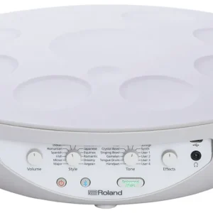 Kracherpreis Roland MN-10 Digital Handpan
