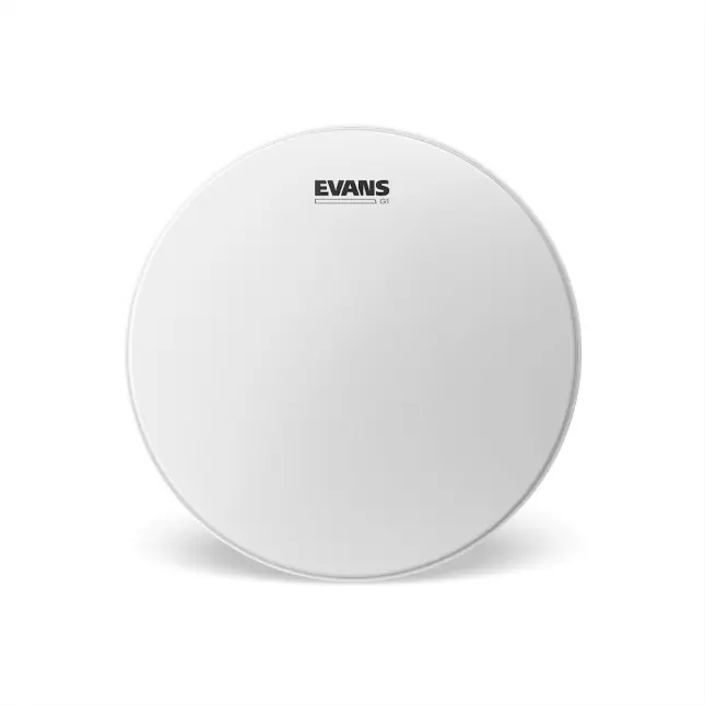 Evans 18" G1 Coated Highlight