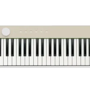 Casio PX-S1100 MB Kostenfreie Lieferung