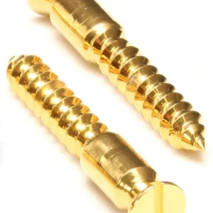 Floyd Rose FRBMWSSSG - Bridge Mounting Wood Screws (2 pcs) - Satin Gold Online Kaufen