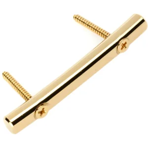 Kostenloser Versand Floyd Rose FRSRGP - Original String Retainer with Screws - Gold