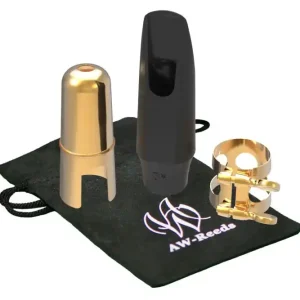 Neuheit AW Woodwinds Mundstück Alto Sax TENDO 7