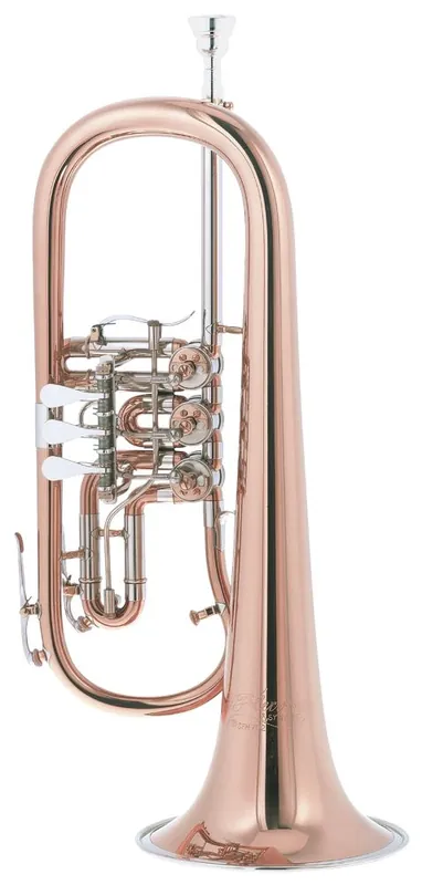 Cerveny CFH 702R Bb Flügelhorn inkl. Mundstück und Koffer Meistverkauft