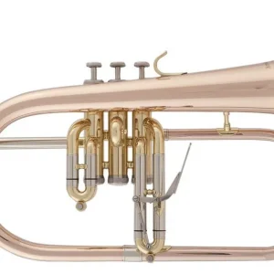 Arnold & Sons AFH-655G Bb-Flügelhorn Letzte Chance
