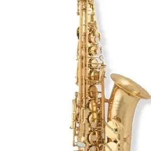 ARNOLD & SONS AAS-320 Terra Alt-Saxophon Sofort Bestellen