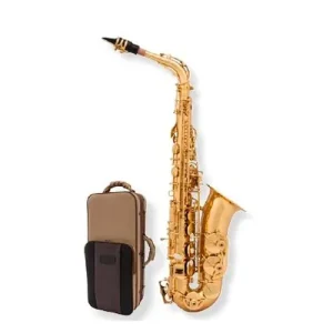 ARNOLD & SONS AAS-110 Alt-Saxophon Neu