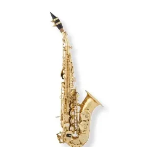 ARNOLD & SONS ASS-101C Sopran-Saxophon Neue Kollektion