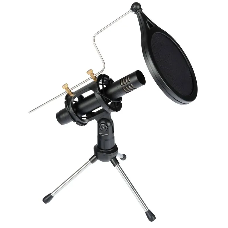 Proel Eikon CM150V2 – USB Kondensatormikrofon mit Stativ & Popfilter Neue Ware
